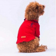 PAWSTAR 24816 KIYAFET 5 LI