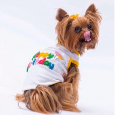 PAWSTAR 24823 KIYAFET 5 LI