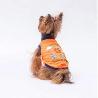PAWSTAR 24831 KIYAFET 6 LI