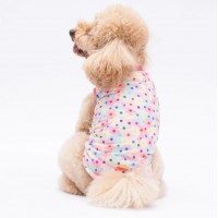 PAWSTAR 25802 KIYAFET 6 LI
