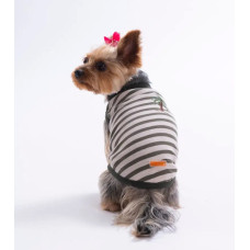 PAWSTAR 26815 KIYAFET 6 LI