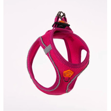 PAWSTAR AİR MESH DÜZ 3 XS 6 LI ( 6 FARKLI RENK )