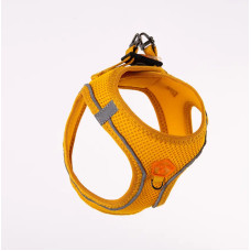 PAWSTAR AİR MESH DÜZ 2 XS 6 LI ( 6 FARKLI RENK )