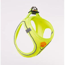 PAWSTAR AİR MESH DÜZ XL 6 LI ( 6 FARKLI RENK )