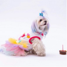PAWSTAR 24306 KIYAFET 5 LI